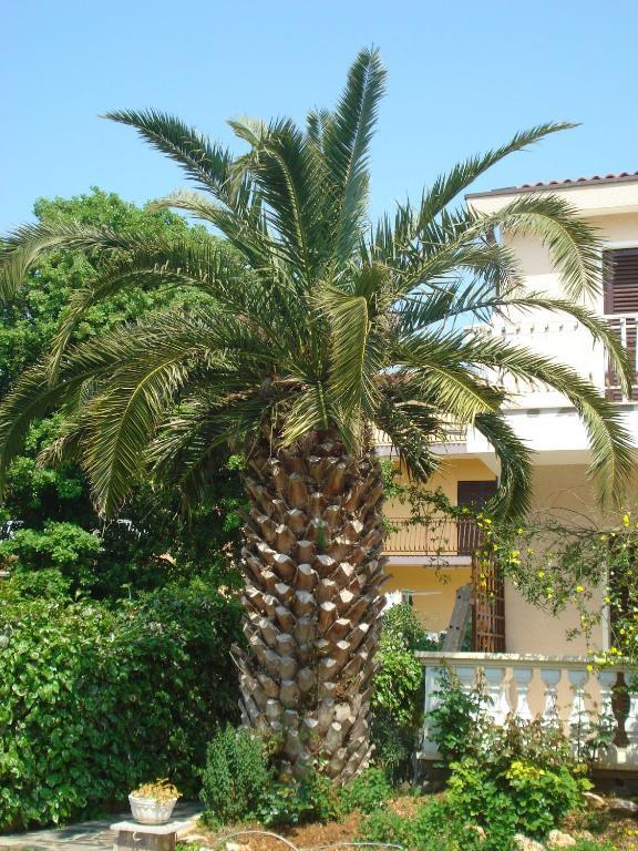 Apartments Labor Водице Номер фото