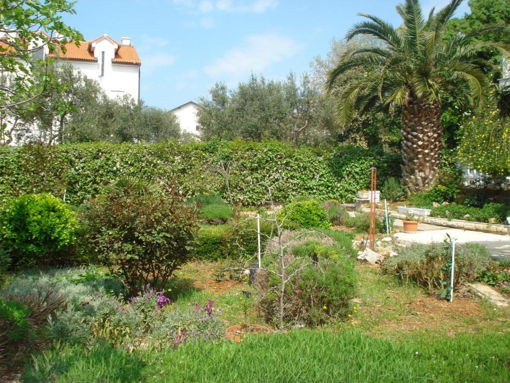 Apartments Labor Водице Номер фото